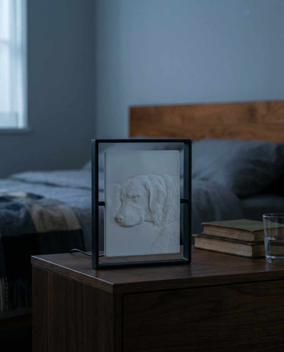 Memory Lamp · Custom Pet Portrait Light